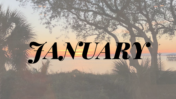 Things to do in January in Cape San Blas