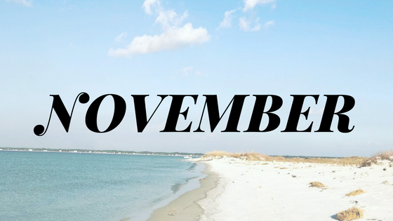 Things to do in November in Cape San Blas