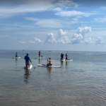 Stand Up Paddle Board Rental from Scallop Cove on Cape San Blas